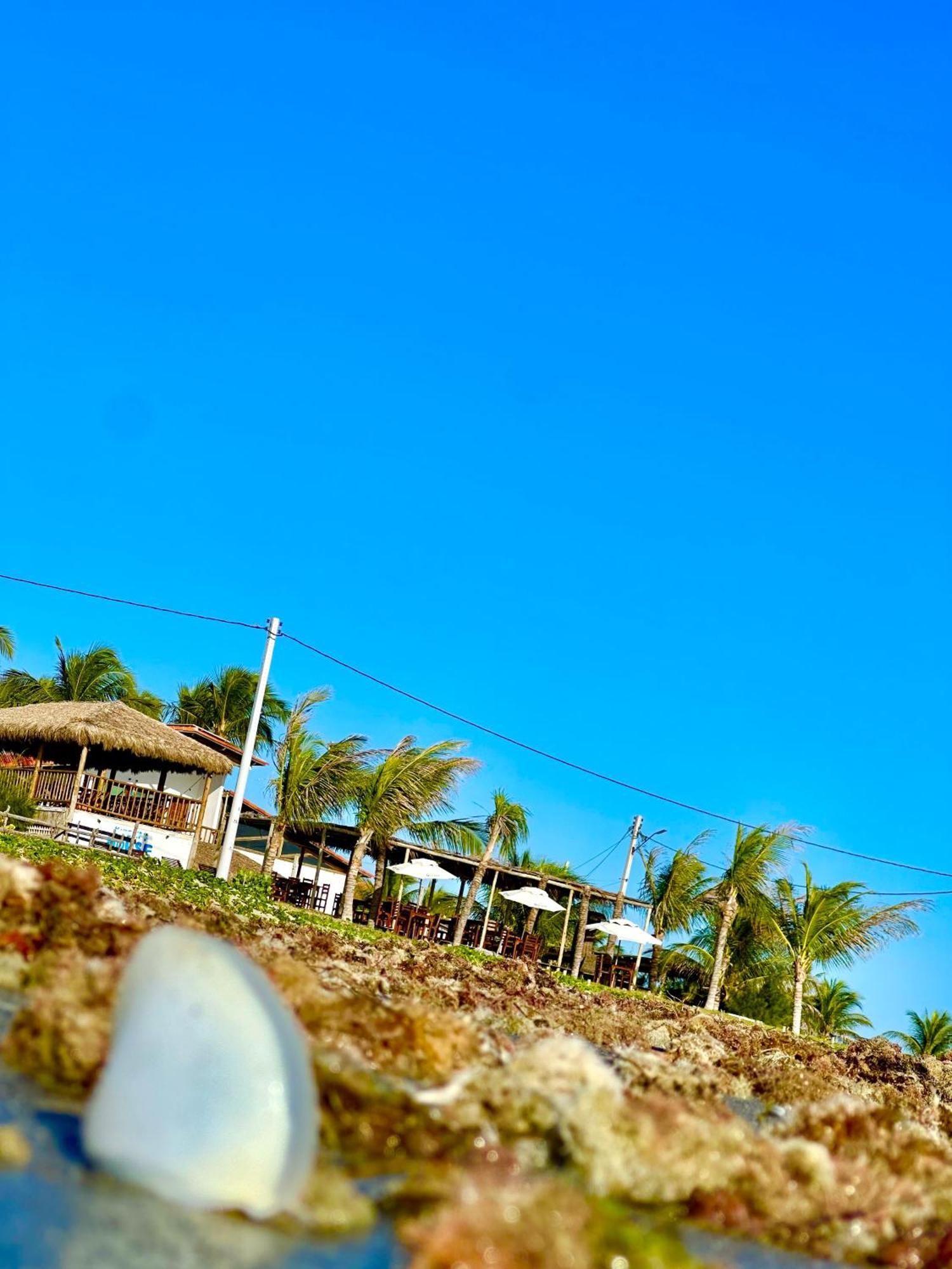 Seu Pedro Lounge Praia - Pousada E Kite Center Икапуи Экстерьер фото